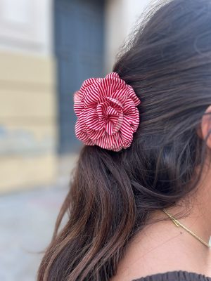 Pinza Pelo - Rayas (Ref:44232)